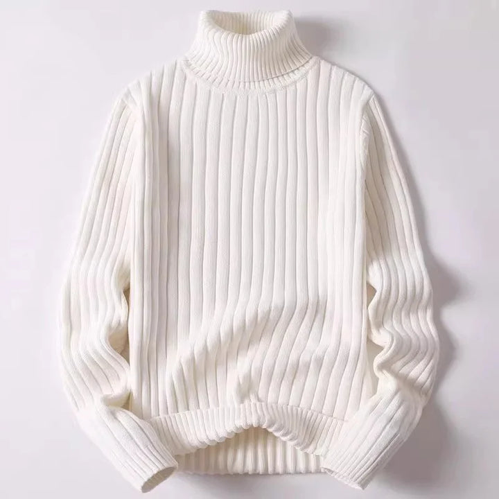 Verrin Ribbed Turtleneck